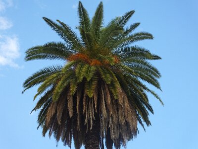 BA031626 (102)