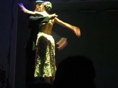 TangoDanceM17 (71)