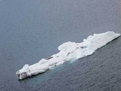 iceberg21 (129)