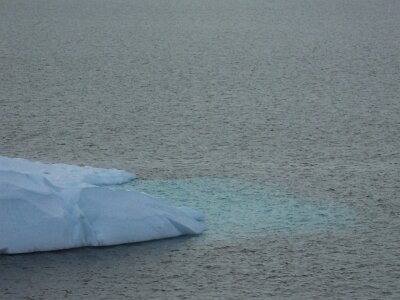 iceberg21 (160)