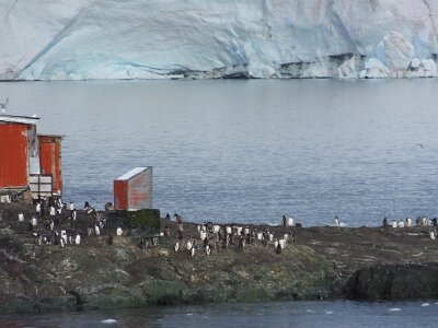 iceberg21 (168)