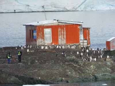 iceberg21 (170)