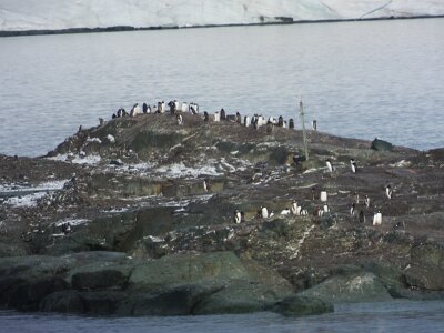 iceberg21 (171)