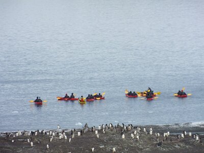 iceberg21 (186)