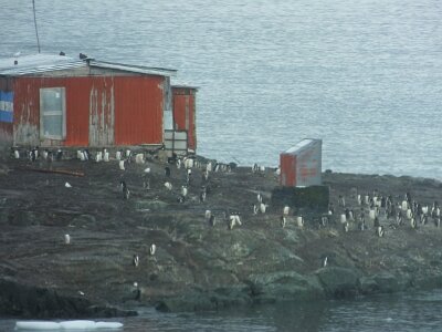 iceberg21 (218)