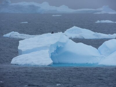 iceberg21 (22)
