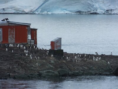 iceberg21 (243)