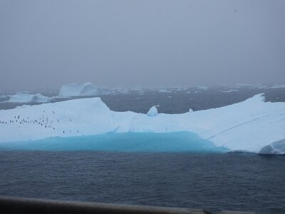iceberg21 (272)