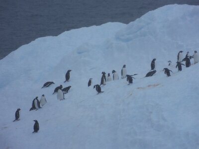 iceberg21 (284)
