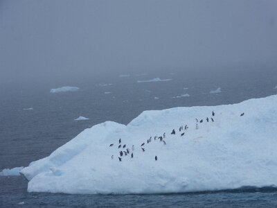 iceberg21 (287)