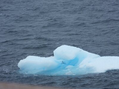 iceberg21 (293)