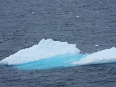 iceberg21 (318)