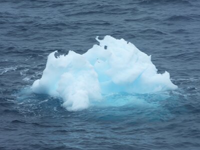 iceberg21 (328)