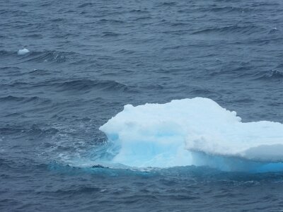 iceberg21 (334)