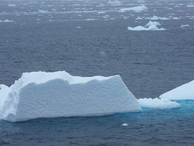 iceberg21 (341)