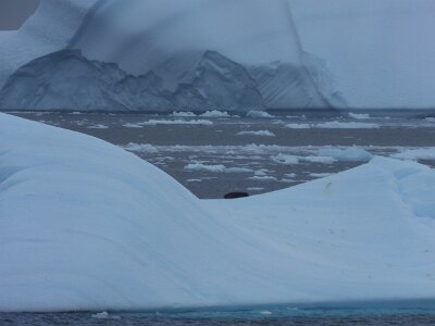 iceberg21 (399)