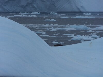 iceberg21 (401)