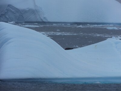 iceberg21 (416)