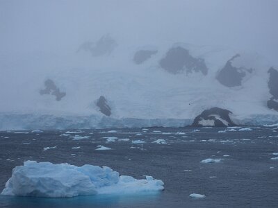 iceberg21 (443)