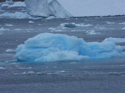 iceberg21 (445)