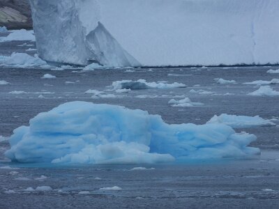iceberg21 (446)