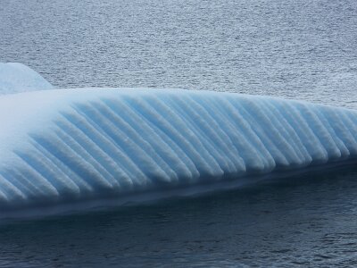 iceberg032226 (143)