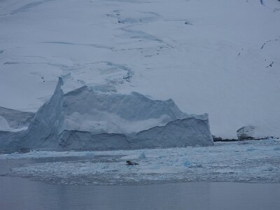 iceberg032226 (221)