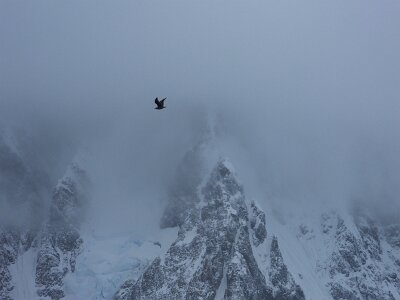 iceberg032226 (222)