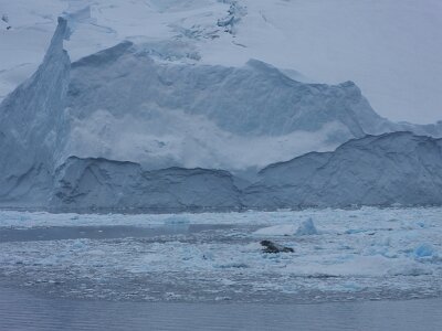 iceberg032226 (224)