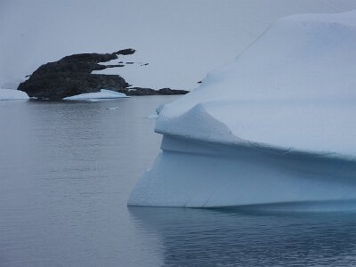 iceberg032226 (240)