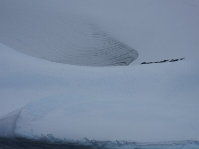 iceberg032226 (244)