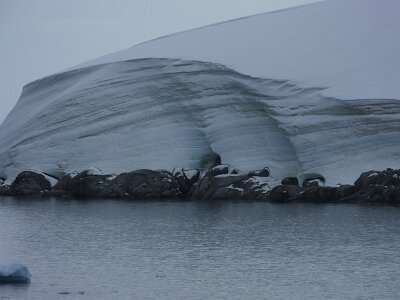 iceberg032226 (256)