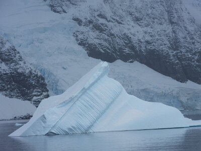 iceberg032226 (266)