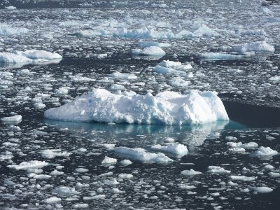 iceberg032226 (279)
