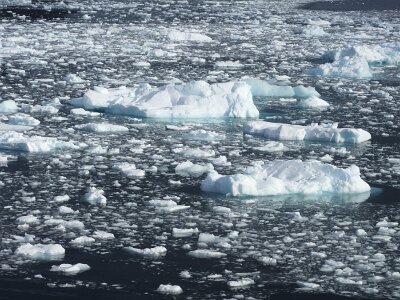 iceberg032226 (280)
