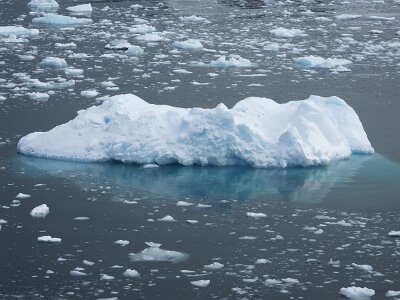iceberg032226 (287)