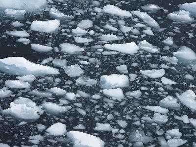 iceberg032226 (288)