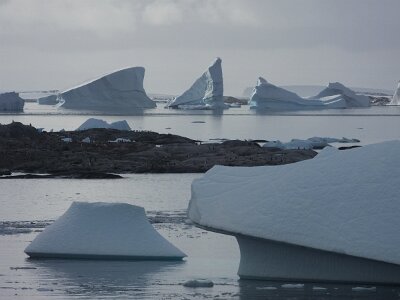 iceberg032226 (303)