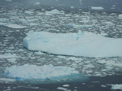iceberg032226 (335)