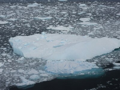 iceberg032226 (339)