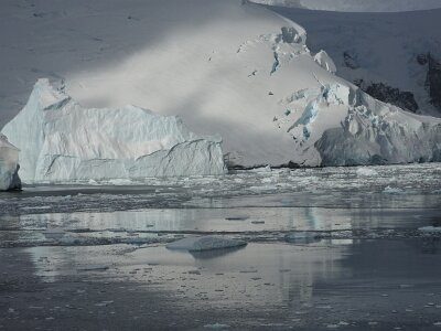iceberg032226 (347)