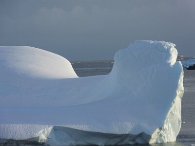 iceberg032226 (484)