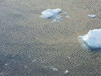 iceberg032226 (491)