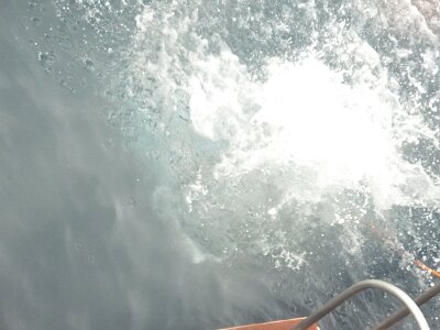 iceberg0323 (260)