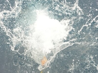 iceberg0323 (266)