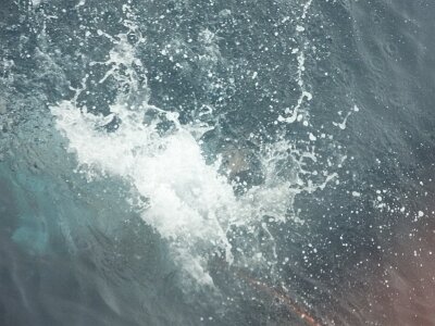 iceberg0323 (279)