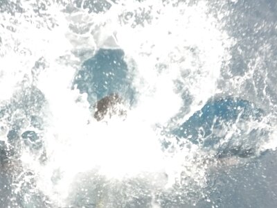 iceberg0323 (291)