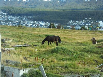 USHUAIA2726 (154)