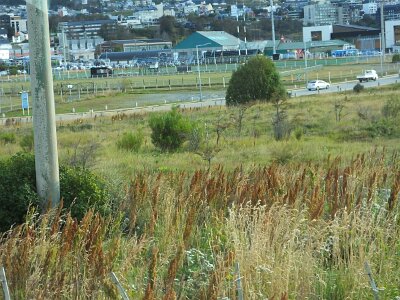 USHUAIA2726 (162)