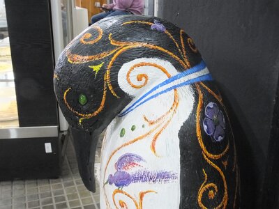 USHUAIA2726 (252)